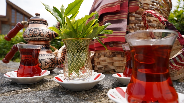 Rize'de Dünya Çay Günü etkinliği