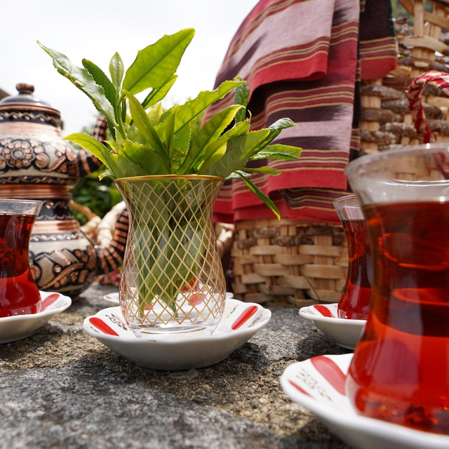 Rize'de Dünya Çay Günü etkinliği