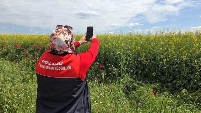 Tarlalarda dijital tarım çalışmaları