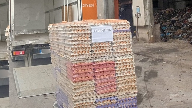 Sakarya'da 42 bin sahte organik etiketli yumurta imha edildi