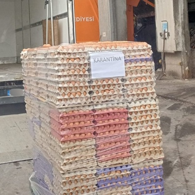 Sakarya'da 42 bin sahte organik etiketli yumurta imha edildi