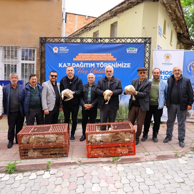 Samsun'da üreticiye yüzde 50 hibeli kaz palazı desteği