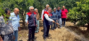 Akdeniz meyve sineğiyle mücadele kesintisiz sürüyor