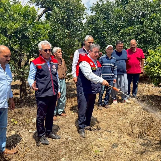 Akdeniz meyve sineğiyle mücadele kesintisiz sürüyor