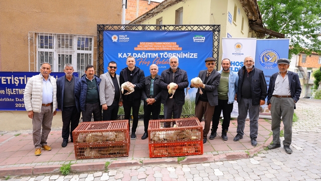 Samsun'da üreticiye yüzde 50 hibeli kaz palazı desteği