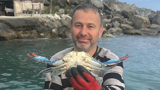 Sinop'ta denize açılan balıkçıların ağına Karadeniz'de nadir rastlanılan mavi yengeç takıldı