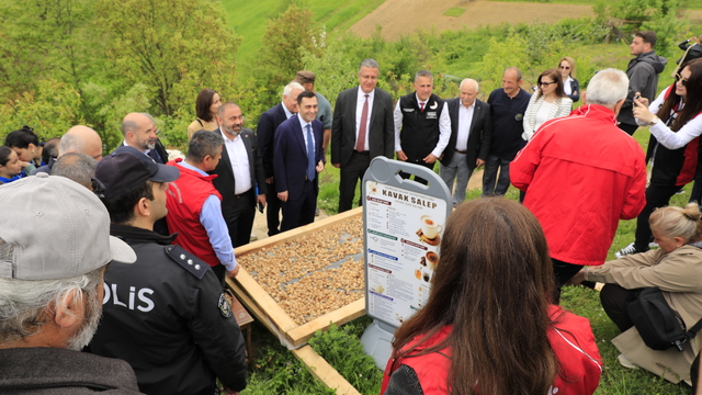 Samsun'da "3. Salep Uygulamalı Hasat Eğitimi ve Tanıtım Etkinliği" düzenlendi