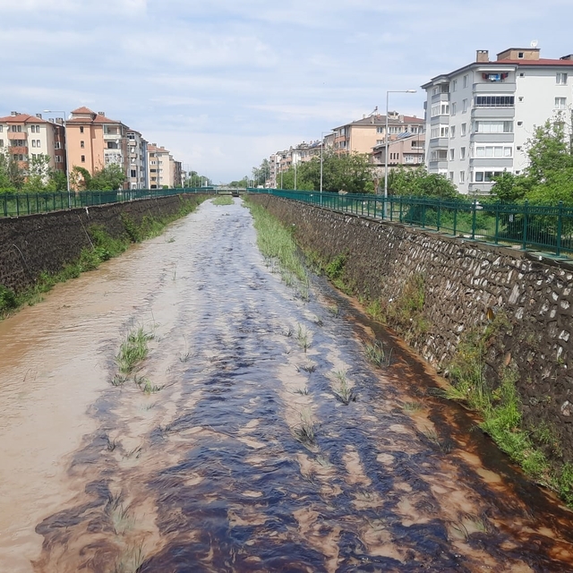 Kastamonu'da dereye kimyasal atık karıştı