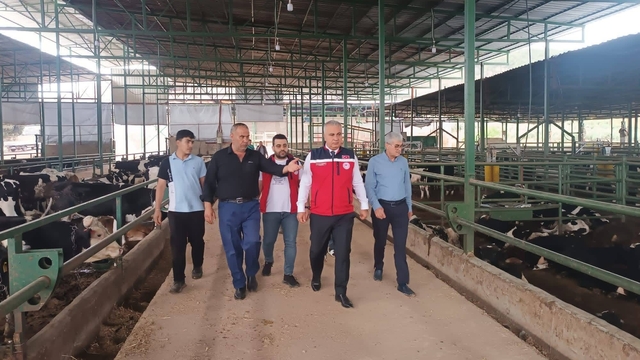Kurban Bayramı öncesi hayvan satış yerlerinde sıkı denetim