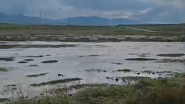 Günyüzü'de aşırı yağış sonucunda sel meydana geldi