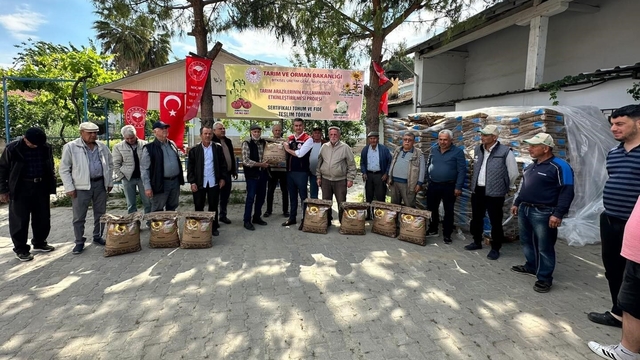 Koçarlı'da 3 bin kilo ayçiçeği tohumu üreticilere dağıtıldı