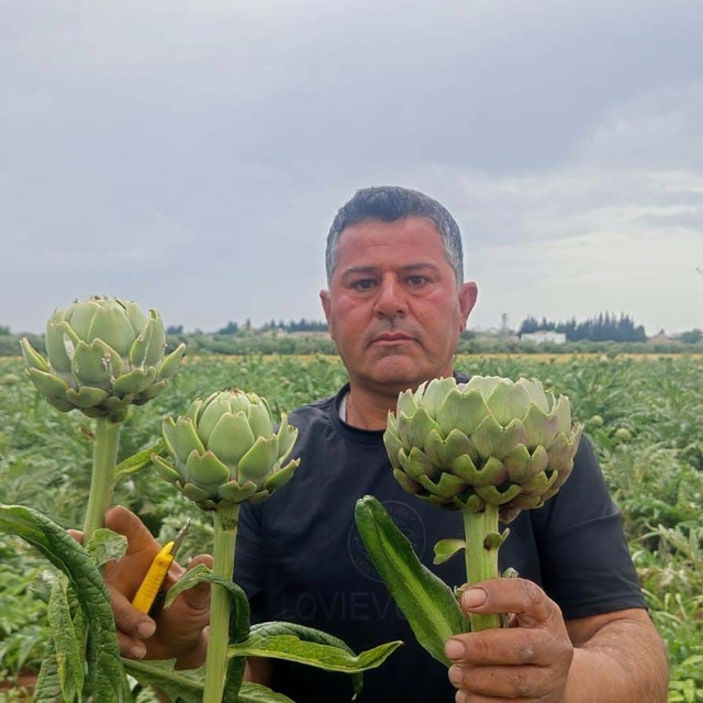 KKTC'de ilk kez yediği enginarı memleketinde üretti