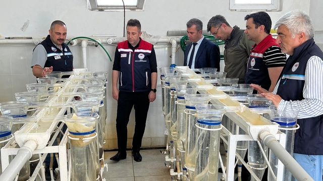 İpsala Su Ürünleri Üretim İstasyonu'nda inceleme gerçekleştirildi
