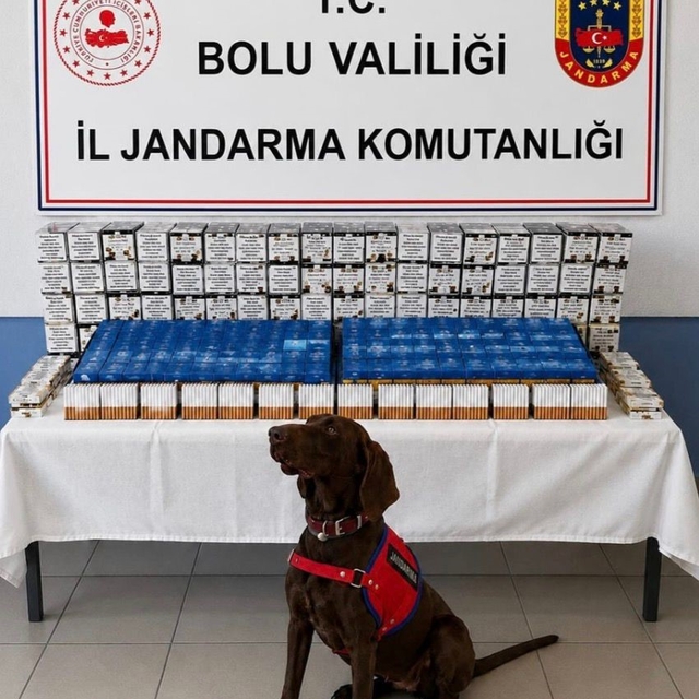 Bolu'da kaçakçılık operasyonu: 2 gözaltı