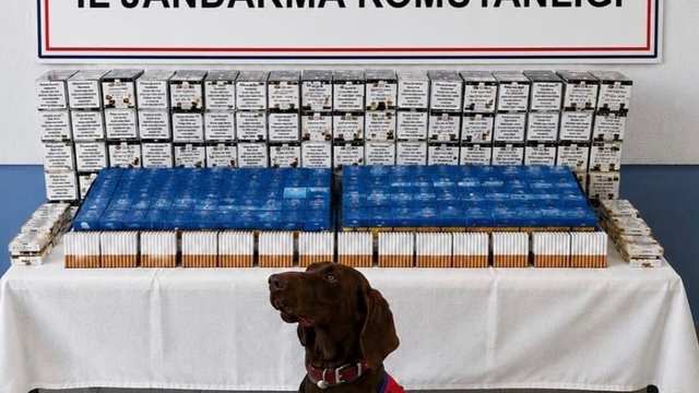 Bolu'da kaçakçılık operasyonu: 2 gözaltı