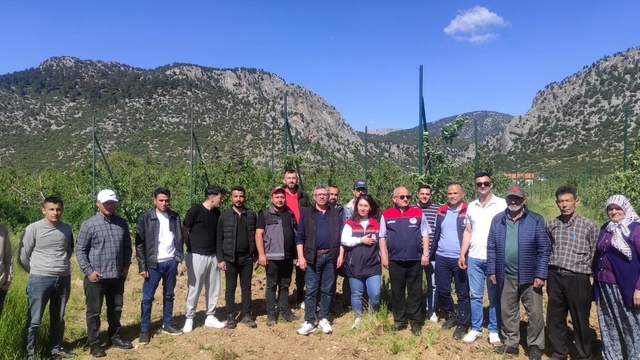 Eğirdir'de budama ve aşılama kursuna yoğun ilgi