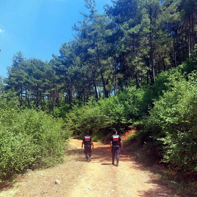 Muğla'da ormanlara giriş yasağı