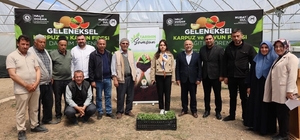 Toprağa destek, üreticiye nefes: 120 bin fide ücretsiz dağıtıldı