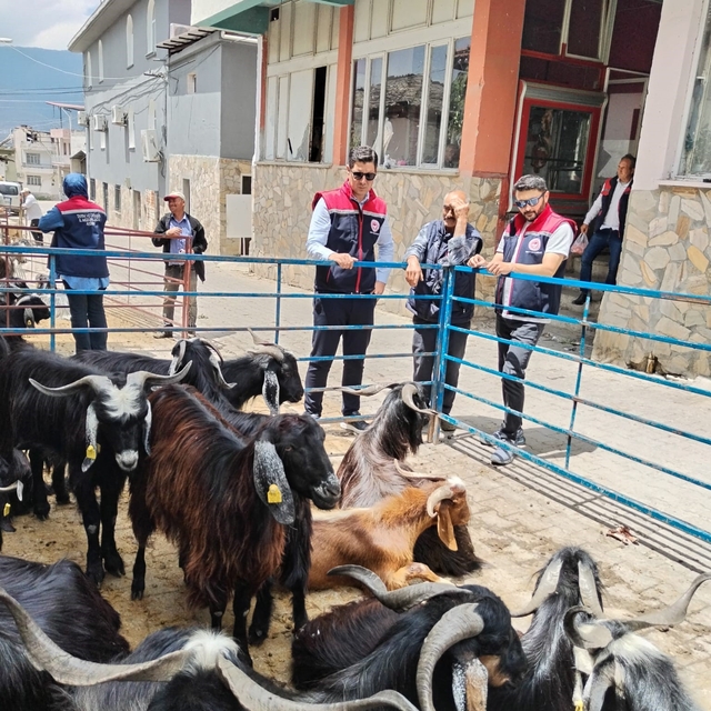 Bozdoğan'da kurban satış yerleri denetlendi
