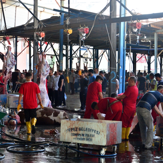 Sokakta kurban kesip, atıklarını gömenlere 29 bin 529 lira ceza
