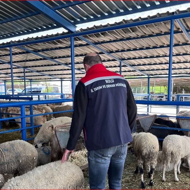 Bolu'da kurban pazarlarına yönelik denetim yapıldı