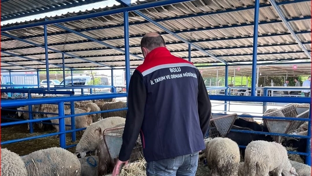 Bolu'da kurban pazarlarına yönelik denetim yapıldı