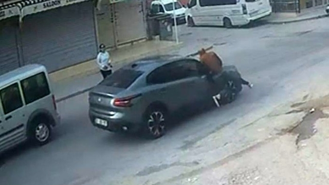 El sallayıp karşıya geçmek isterken otomobil çarptı