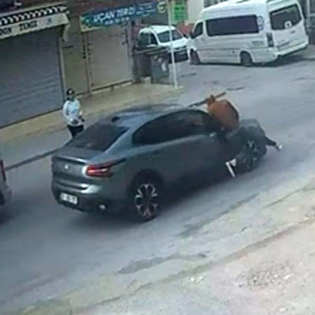 El sallayıp karşıya geçmek isterken otomobil çarptı