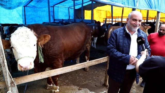 Kurban pazarının 'Paşa'sı 1,3 tonluk boğa
Canik Kurban Pazarı'nda hareketlilik başladı