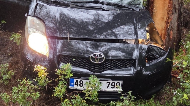 Kontrolden çıkan otomobil ormanlık alana uçtu: 1 yaralı