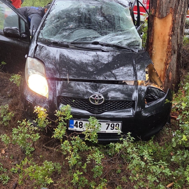 Kontrolden çıkan otomobil ormanlık alana uçtu: 1 yaralı
