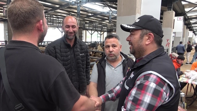 Kurban pazarında güldüren anlar :Mali Polis çetin pazarlığa dahil oldu
Kurban pazarına sahte para denetimi, polisten ders niteliğinde uygulamalı eğitim
Kurban pazarlığına polis de dahil oldu sahte para denetimi kamerada