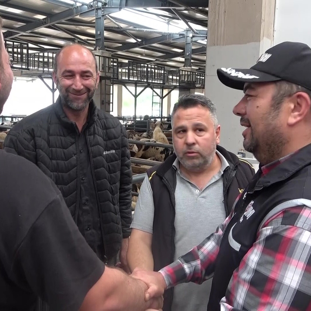 Kurban pazarında güldüren anlar :Mali Polis çetin pazarlığa dahil oldu
Kurb...