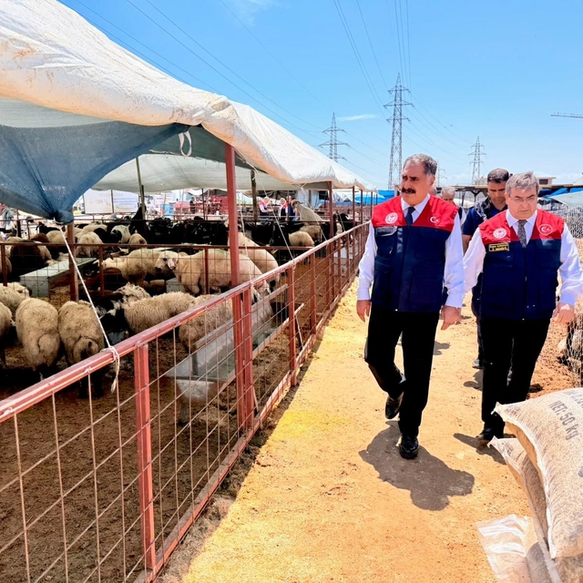 Mersin'de Kurban Bayramı öncesi satış noktalarında sıkı denetim