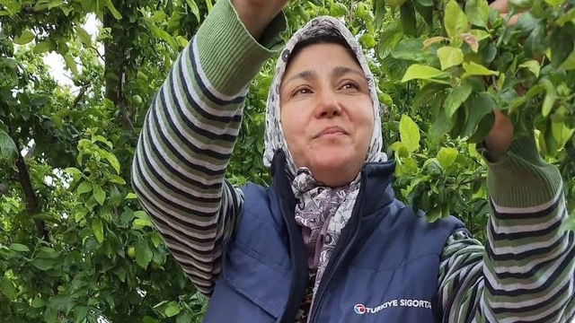 Yaz meyvelerinde bereket üreticinin yüzünü güldürdü