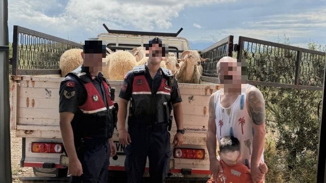 Kurban Bayramı öncesi çalınan koyunları jandarma buldu