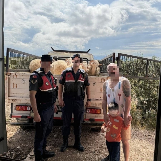 Kurban Bayramı öncesi çalınan koyunları jandarma buldu