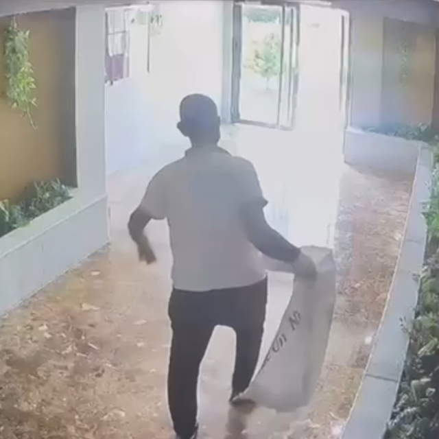 Yavru kedileri kaybolan kadın güvenlik kameralarını izleyince gözlerine ina...