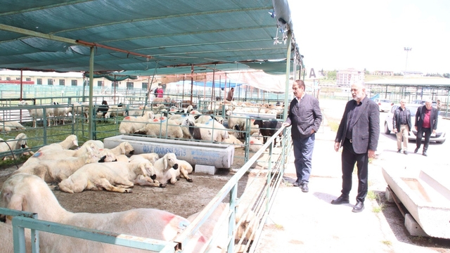 MESOB Başkanı Keskin: "Canlı Hayvan Pazarı yeniden kamu malı olmalı"