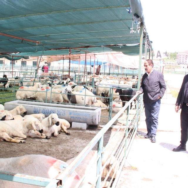 MESOB Başkanı Keskin: "Canlı Hayvan Pazarı yeniden kamu malı olmalı"