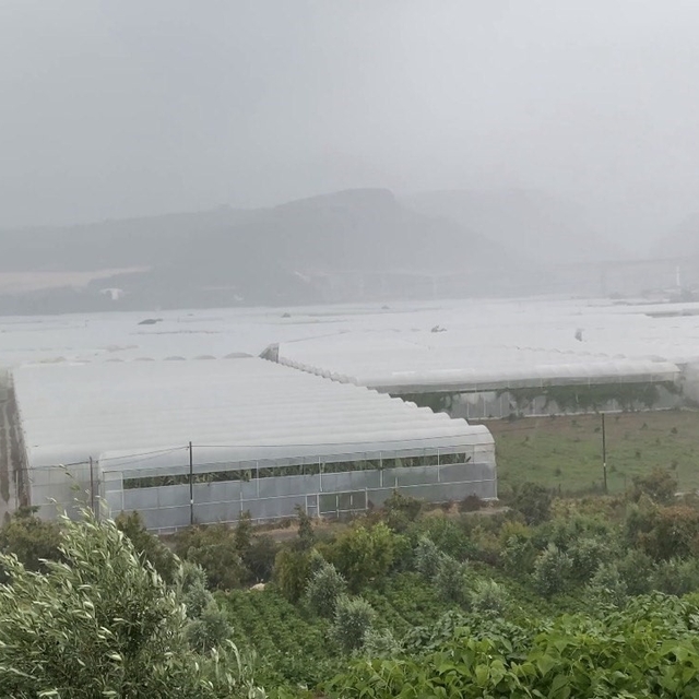 Mersin'de meteorolojinin uyarısı sonrası yağış etkili oluyor