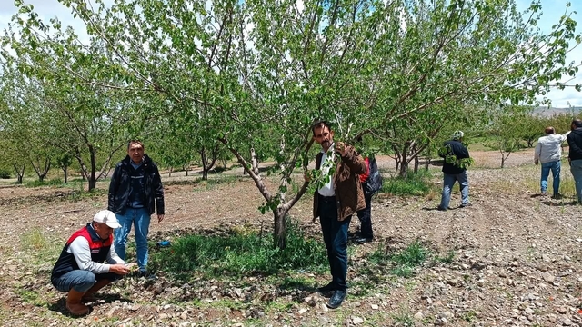 Elazığ'da dolu sonrası hasar tespiti yapıldı