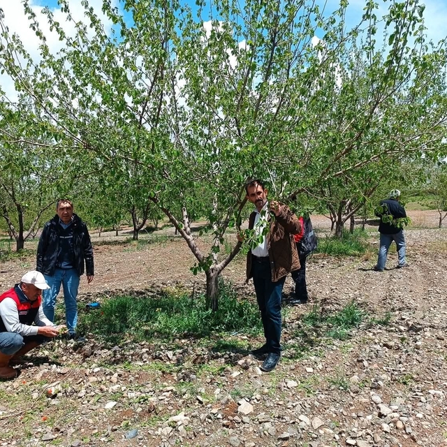 Elazığ'da dolu sonrası hasar tespiti yapıldı