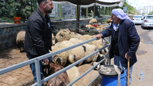 Kurban pazarında sessizlik: Satıcılar son günleri bekliyor