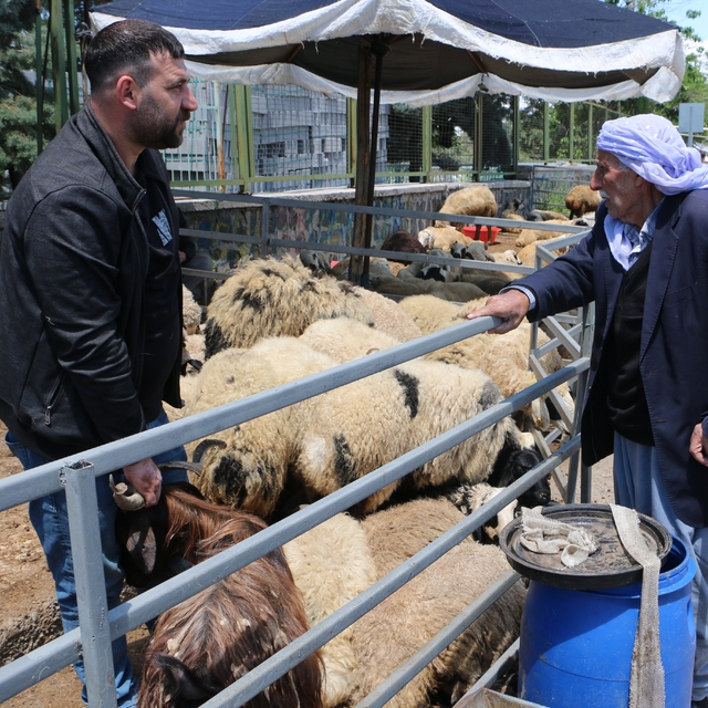 Kurban pazarında sessizlik: Satıcılar son günleri bekliyor