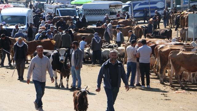 Diyarbakır Canlı Hayvan Borsasında kurbanlık hareketliliği