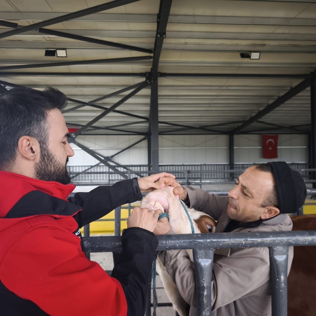 Kurbanlık denetimleri sürüyor