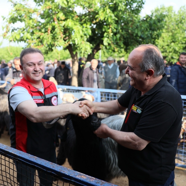 Muğla'da Kurban pazarlarında sıkı denetim