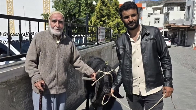 70 kiloluk dev keçi 36 bin liraya satıldı