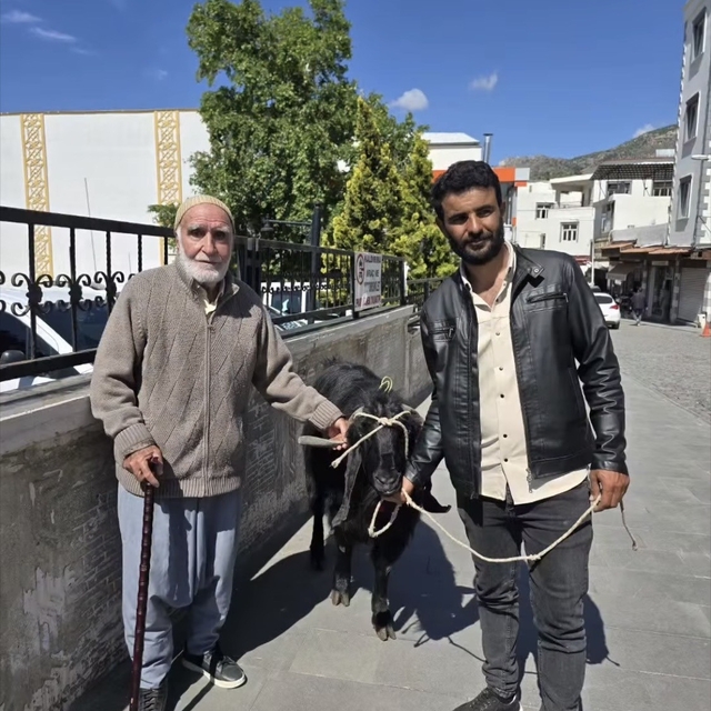 70 kiloluk dev keçi 36 bin liraya satıldı